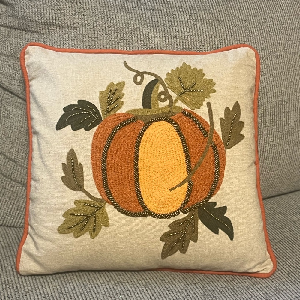 Pier 1 Fall Pumpkin Embroidered And Beaded Throw Pillow Home Decor